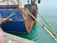 ટ્રોલર વેચાણ માટે