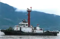 ટોવબોટ વેચાણ માટે