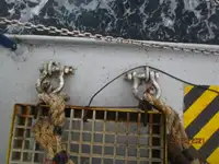 રીફર જહાજ વેચાણ માટે