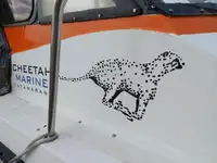 કેટામરાન વેચાણ માટે