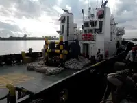 ટોબોટ વેચાણ માટે