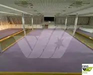 રો-રો જહાજ વેચાણ માટે