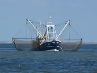 Trawler વેચાણ માટે