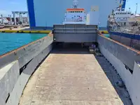 બલ્ક કેરિયર વેચાણ માટે