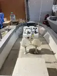 વર્ક બોટ વેચાણ માટે