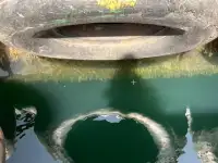 ટોબોટ વેચાણ માટે