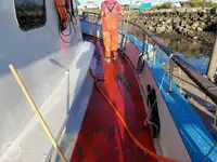 ફેરી જહાજ વેચાણ માટે