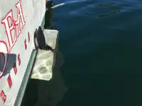 ટ્રોલર વેચાણ માટે