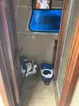 ક્રૂ બોટ વેચાણ માટે