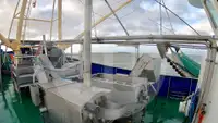 બીમ ટ્રોલર વેચાણ માટે