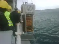 વર્ક બોટ વેચાણ માટે