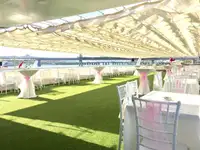 ક્રૂઝ જહાજ વેચાણ માટે