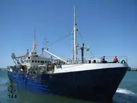 Purse seiner વેચાણ માટે