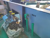 કન્ટેનર જહાજ વેચાણ માટે
