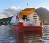 ફેરી જહાજ વેચાણ માટે