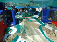 Trawler વેચાણ માટે