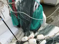 ટ્રોલર વેચાણ માટે