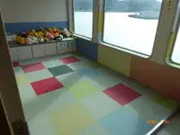 ફેરી જહાજ વેચાણ માટે