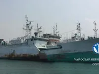 લોંગલાઇનર વેચાણ માટે
