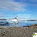 રો-રો જહાજ વેચાણ માટે