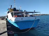 ટ્રોલર વેચાણ માટે