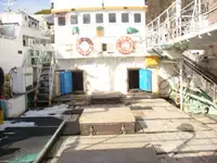 લોંગલાઇનર વેચાણ માટે