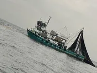 પર્સ સીનર વેચાણ માટે