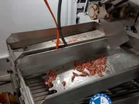 ટ્રોલર વેચાણ માટે