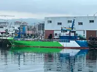 વર્ક બોટ વેચાણ માટે