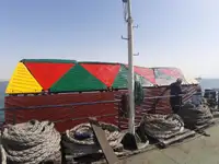 બલ્ક કેરિયર વેચાણ માટે