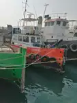 ટોબોટ વેચાણ માટે