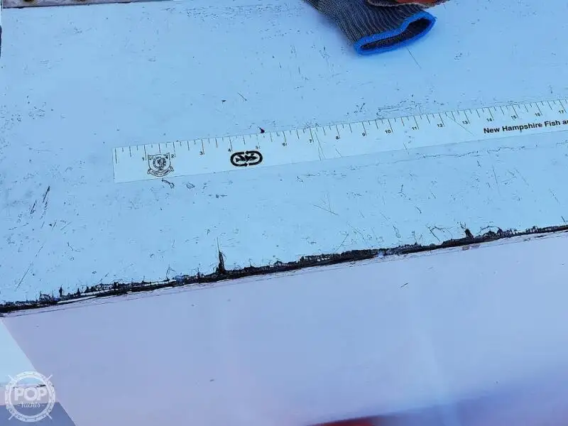 ફેરી જહાજ વેચાણ માટે