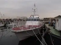 પેટ્રોલ બોટ વેચાણ માટે