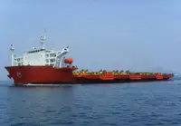 બલ્ક કેરિયર વેચાણ માટે