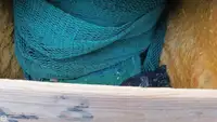 ટ્રોલર વેચાણ માટે