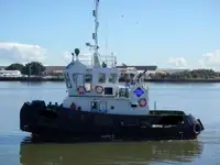 ટોવબોટ વેચાણ માટે