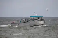 મુસાફર જહાજ વેચાણ માટે