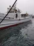 લોંગલાઇનર વેચાણ માટે
