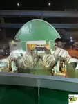 રો-રો જહાજ વેચાણ માટે