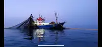 Trawler વેચાણ માટે