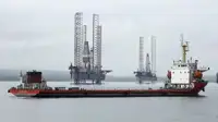 બલ્ક કેરિયર વેચાણ માટે