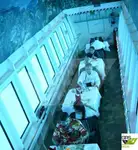 રેસ્ટોરન્ટ જહાજ વેચાણ માટે