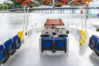 ફેરી જહાજ વેચાણ માટે