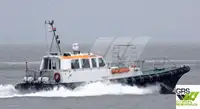 વર્કબોટ વેચાણ માટે