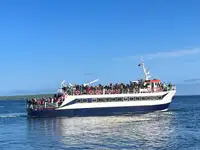 પેસેન્જર જહાજ વેચાણ માટે