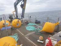 વર્ક બોટ વેચાણ માટે