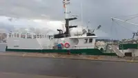 ટ્રોલર વેચાણ માટે