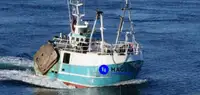 Beam trawler વેચાણ માટે