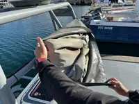 પેટ્રોલ બોટ વેચાણ માટે