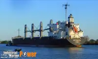 બલ્ક કેરિયર વેચાણ માટે